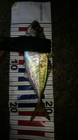 雨の中のピンポイントアジング